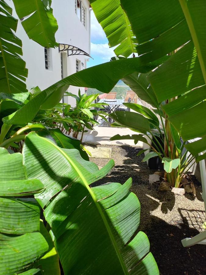 Le Damour Appartement 1 Ou 2 Chambres Les Anses-d'Arlets Exteriör bild